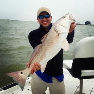 Meet your Posher, Gerren